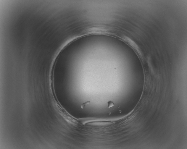 X0000073861435200608241057