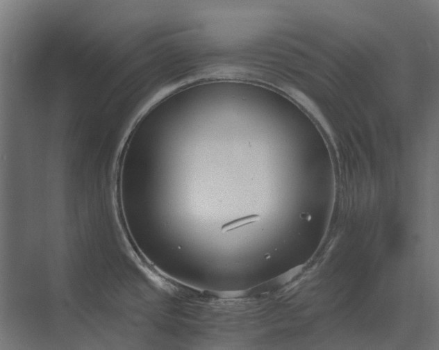 X0000073861437200608241057