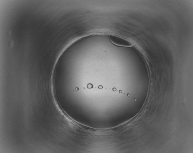 X0000073861440200608241057