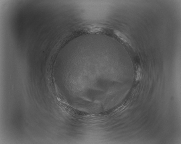 X0000073861441200608241056