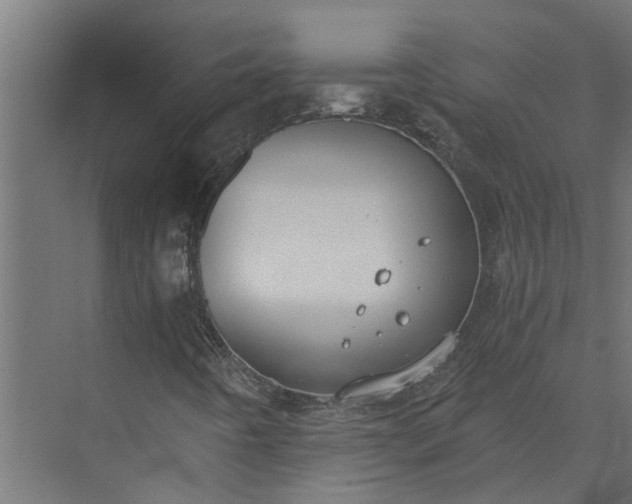 X0000073861442200608241056