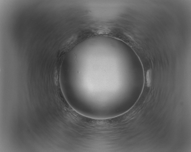 X0000073861443200608241056