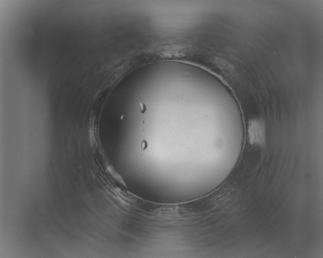 X0000073861444200608241056