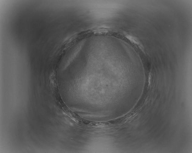 X0000073861445200608241056