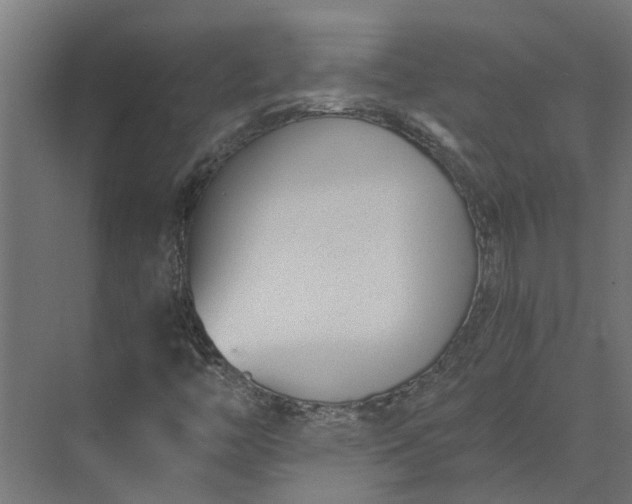 X0000073861446200608241056