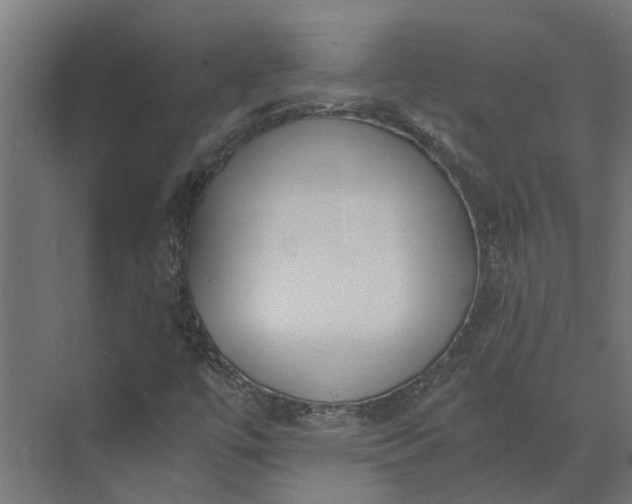 X0000073861447200608241056