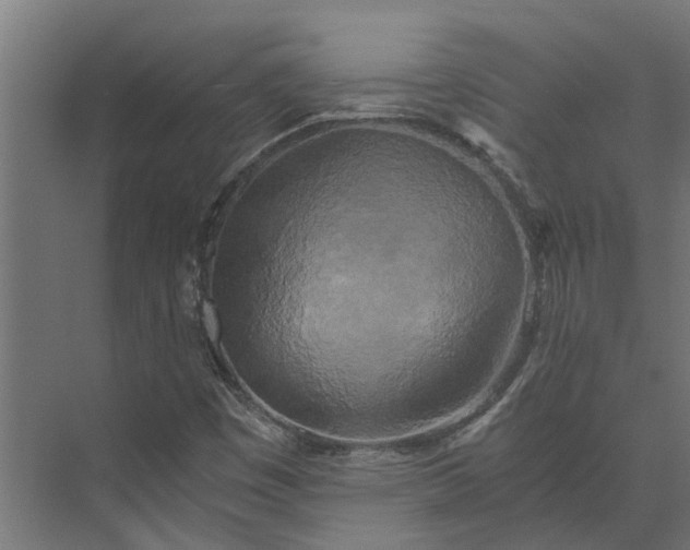 X0000073861449200608241056