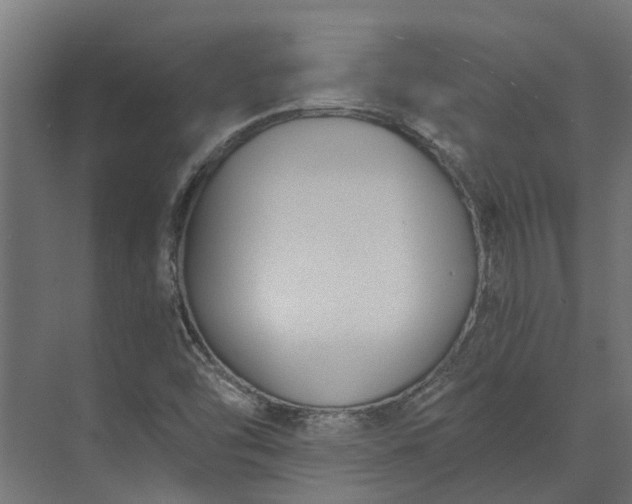 X0000073861454200608241056