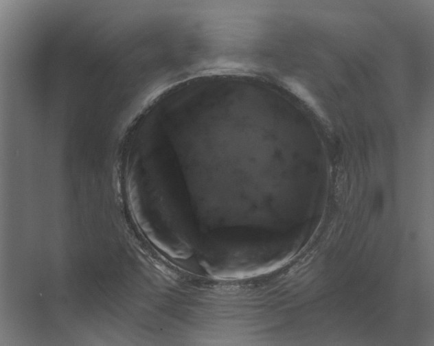 X0000073861455200608241056