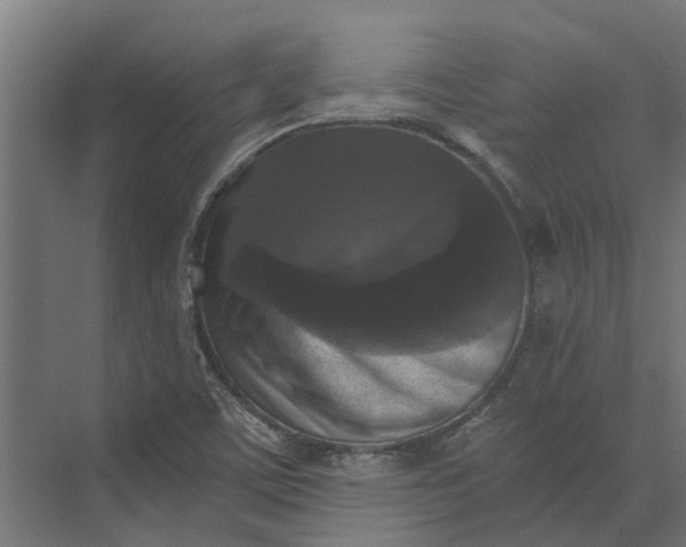 X0000073861459200608241056