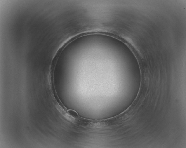 X0000073861460200608241056