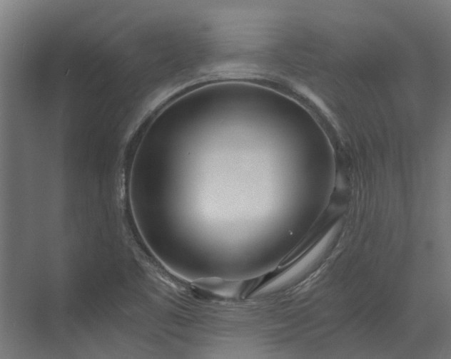 X0000073861461200608241056