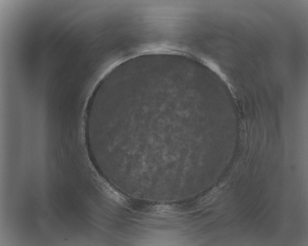 X0000073861463200608241056