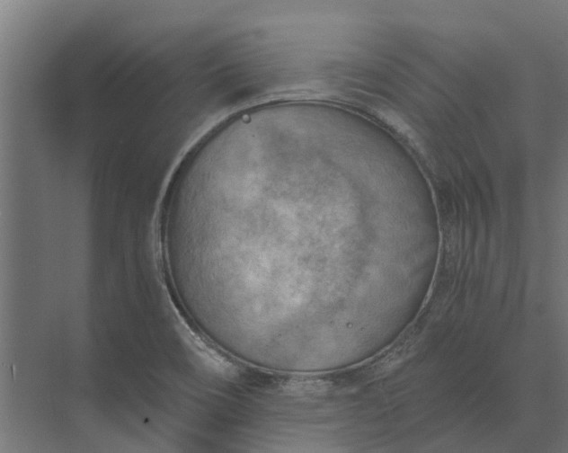 X0000073861466200608241056