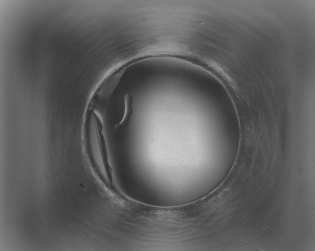 X0000073861469200608241056