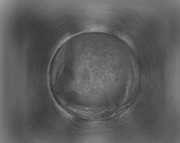 X0000073861471200608241056