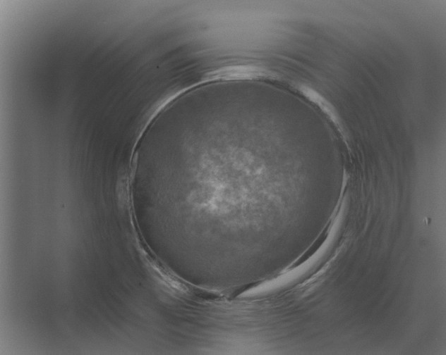 X0000073861473200608241056