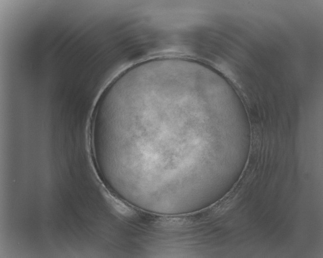 X0000073861474200608241056