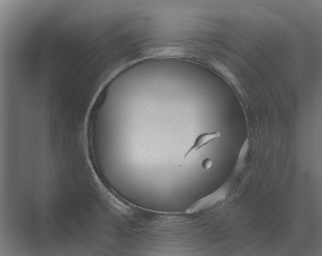 X0000073861475200608241056