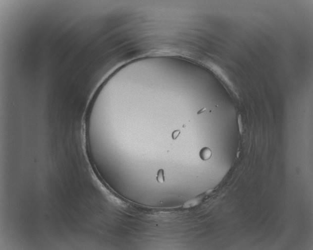 X0000073861476200608241056