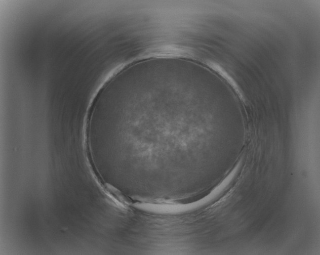 X0000073861477200608241056