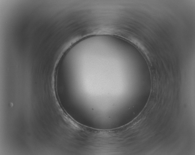 X0000073861480200608241056