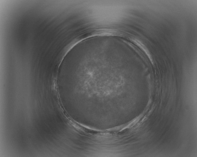 X0000073861481200608241056