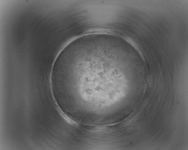 X0000073861482200608241055