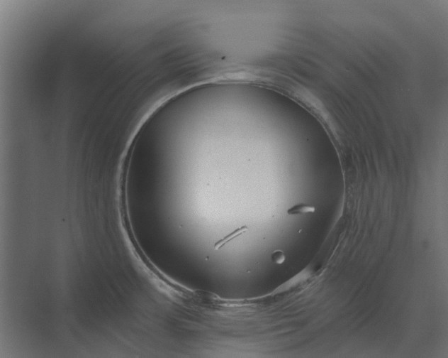 X0000073861483200608241055