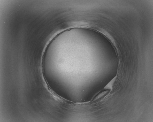 X0000073861488200608241055