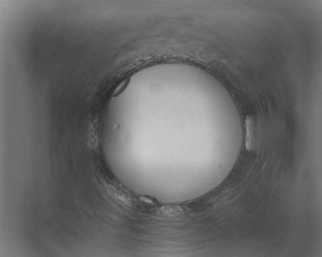 X0000073861491200608241055