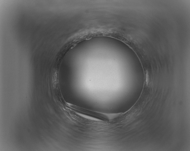 X0000073861492200608241055