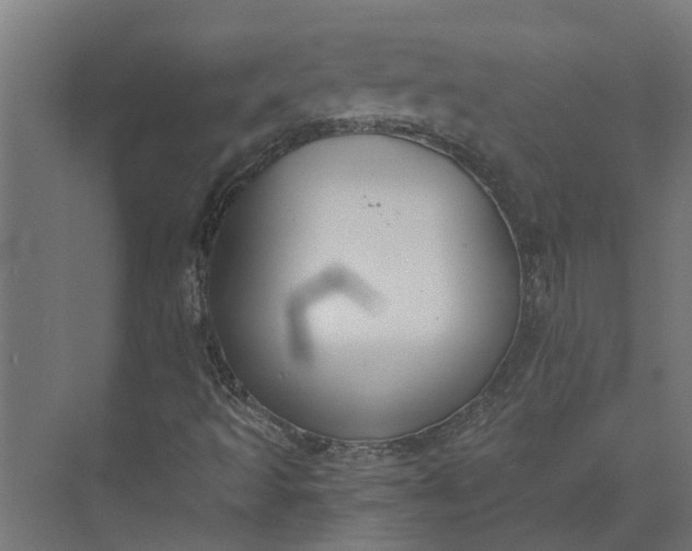 X0000073861493200608241055