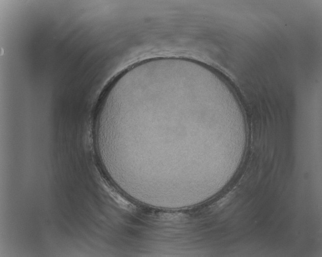 X0000073861498200608241055