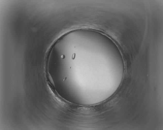 X0000073861500200608241055