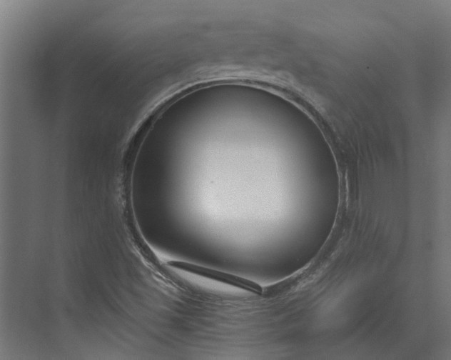 X0000073861501200608241055