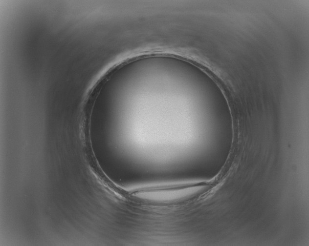 X0000073861502200608241055