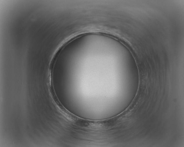 X0000073861509200608241055