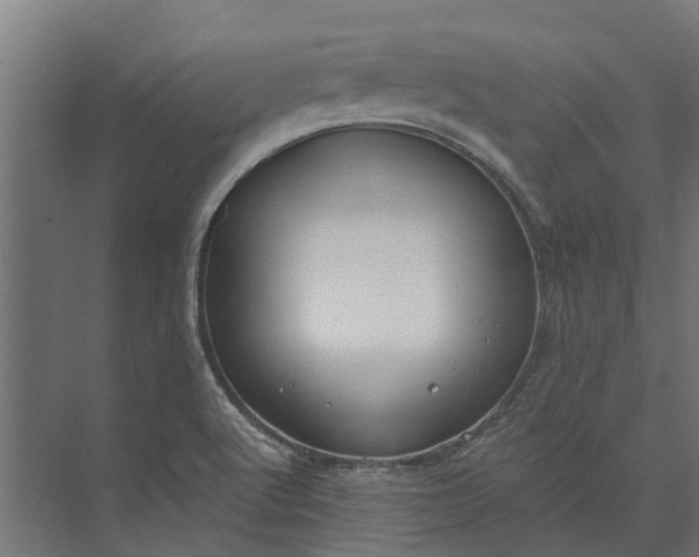 X0000073861512200608241055