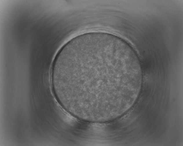 X0000073861514200608241055