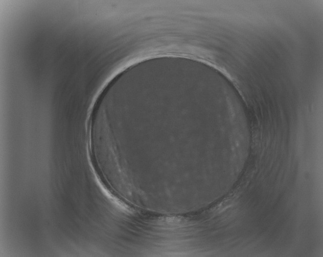 X0000073861515200608241055