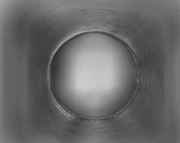 X0000073861516200608241055