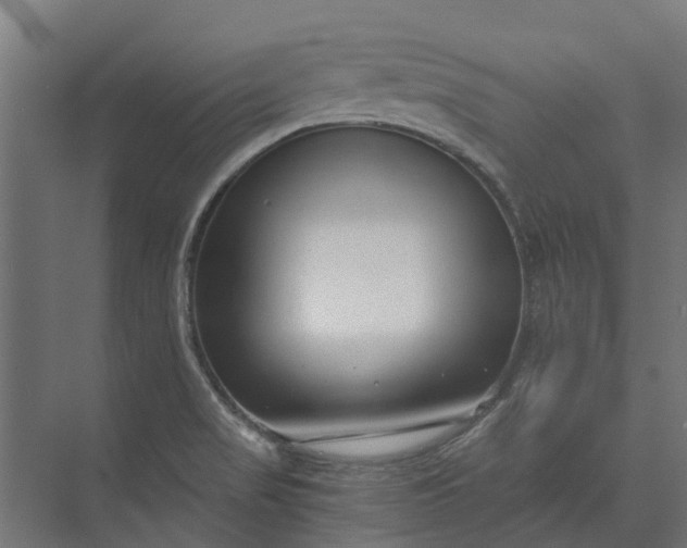 X0000073861517200608241055