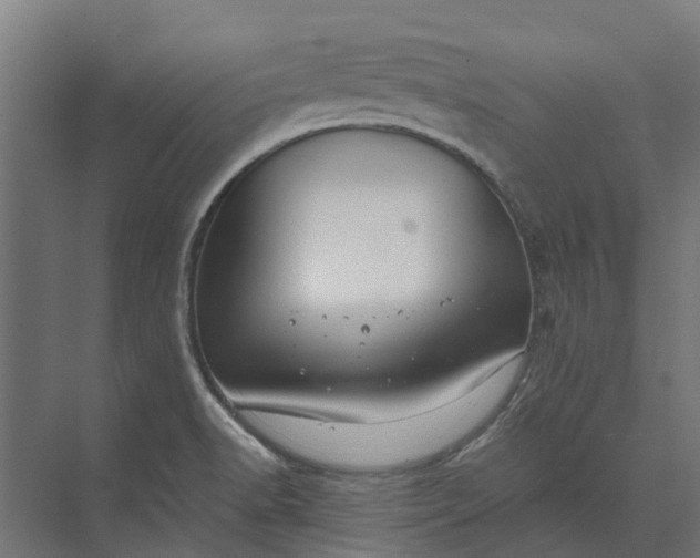 X0000073861518200608241055