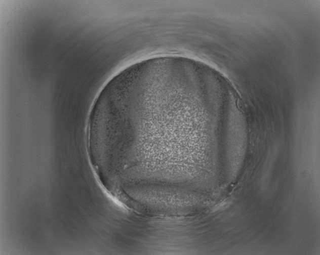 X0000073861519200608241055