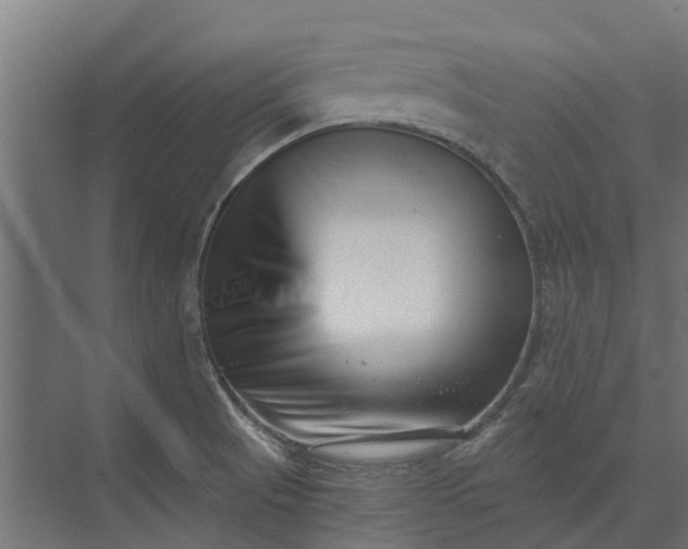 X0000073861521200608241055