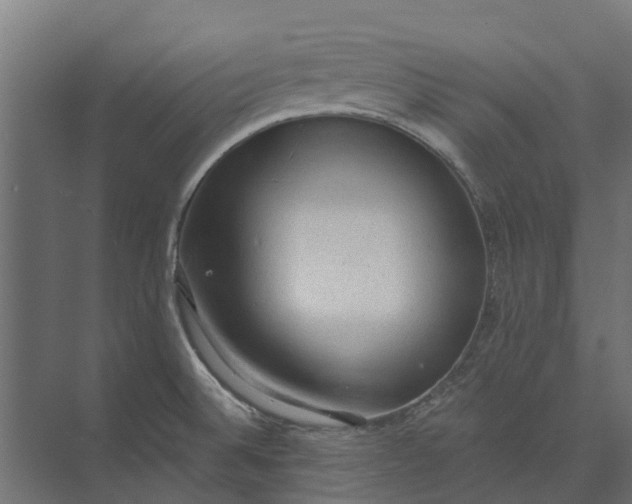 X0000073861524200608241055