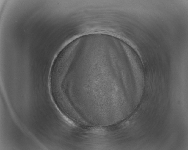 X0000073861525200608241055