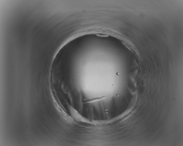 X0000073861530200608241055