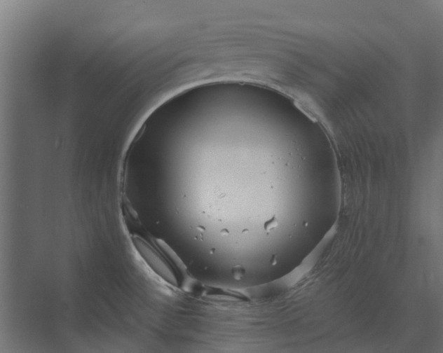 X0000073861532200608241055